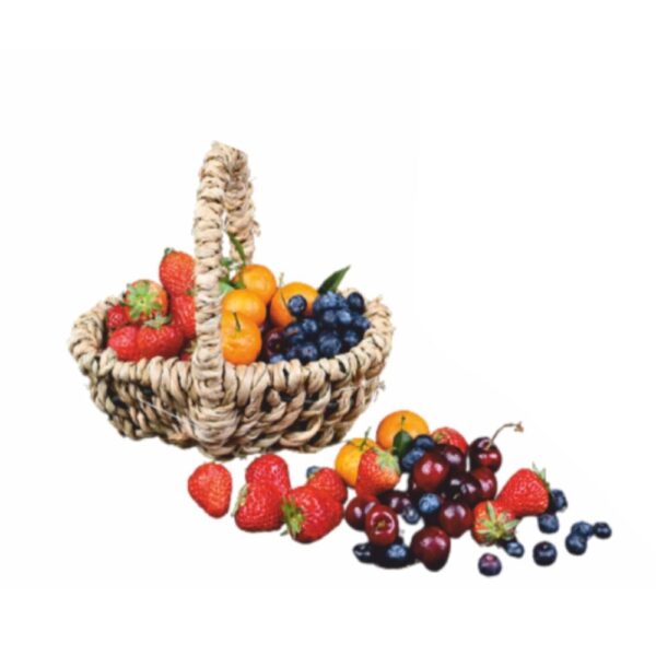 Wellness daily juice - Image 3
