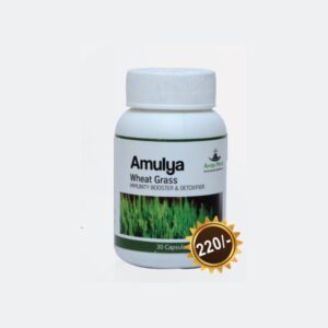 AMULYA WHEAT GRASS