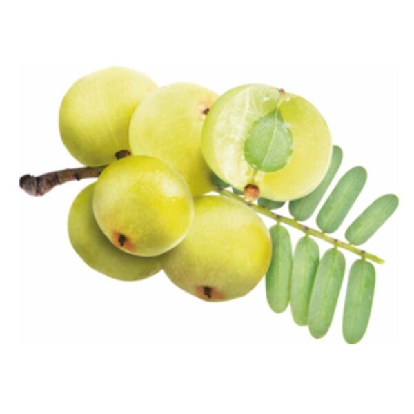 Dr. Nature Amla ginger honey juice - Image 3