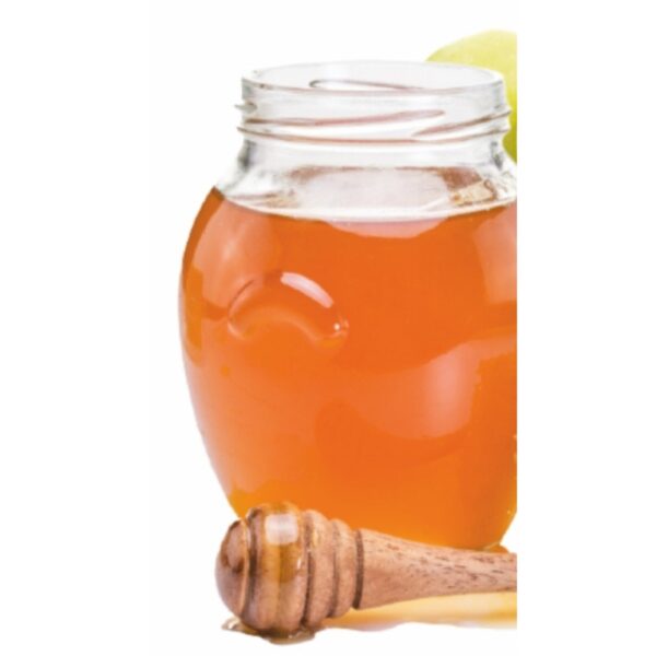 Dr. Nature Amla ginger honey juice - Image 4