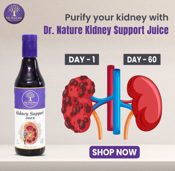 Kidney Support Juice - Image 2